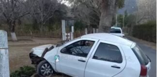 Perdió el control del auto y chocó contra un árbol