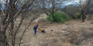 Tres arrestados por venta de drogas