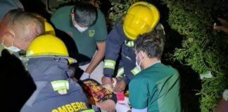 Por el viento, un árbol cayó sobre motociclistas y uno quedó inconsciente