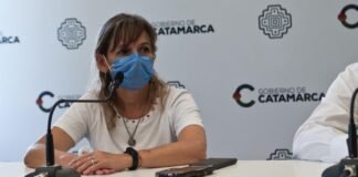 La ministra Palladino le advirtió a Fernández las consecuencias judiciales de una fake news