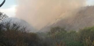 Catamarca y 8 provincias más registran incendios forestales activos