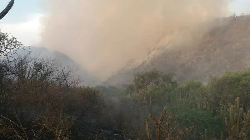 Incendios en catamarca