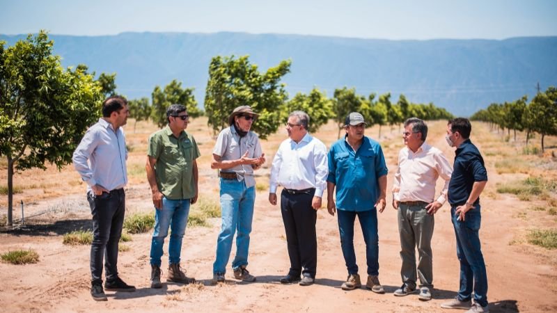 Raul Jalil Raul Jalil