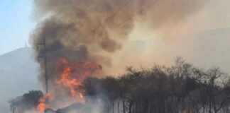 Incendio en El Rodeo va consumiendo más de 80 hectáreas de vegetación