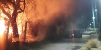 Incendio de pastizales y árboles en La Carrera