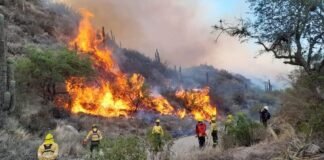 Piden precaución para evitar incendios forestales