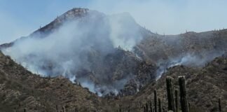 Alerta por incendio forestal en la zona del camino a El Rodeo