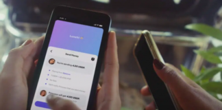 Siba Inu, la criptomoneda que compite con Dogecoin: ¿su éxito es volátil o ha llegado para quedarse?