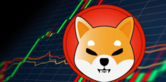 Un puñado de inversores controlan un tercio de todos los bitcoins del mundo: así son las ballenas crypto