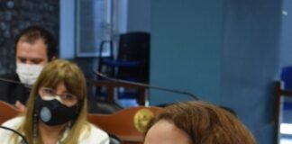 Media sanción para modificar el Código Tributario de la provincia Maria Argerich, Diputada Maria Argerich