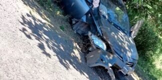 Un adolescente de 16 años perdió el control del auto y chocó con un poste y un árbol de moras
