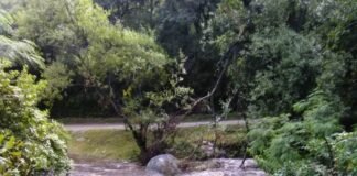 Cierran plantas potabilizadoras del interior