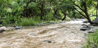 Cortes intermitentes del servicio de agua potable en Zona Oeste debido a turbiedad por las crecidas en rio El Tala