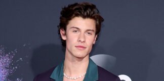Shawn Mendes la pasa mal con las redes sociales