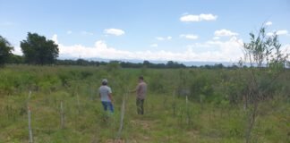 El Este avanza en las mediciones del MBGI