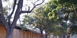 El Gobierno dispuso la presencialidad en la administración pública