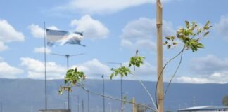 Promueven el compromiso de los estudiantes con el cuidado del ambiente