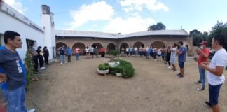 Se realizó la Escuela de Verano de Palestra