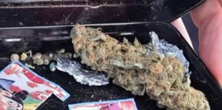 Iba en moto llevando marihuana y LSD y terminó en el calabozo