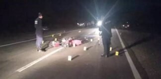 Murió un motociclista tras embestir a un equino en la ruta