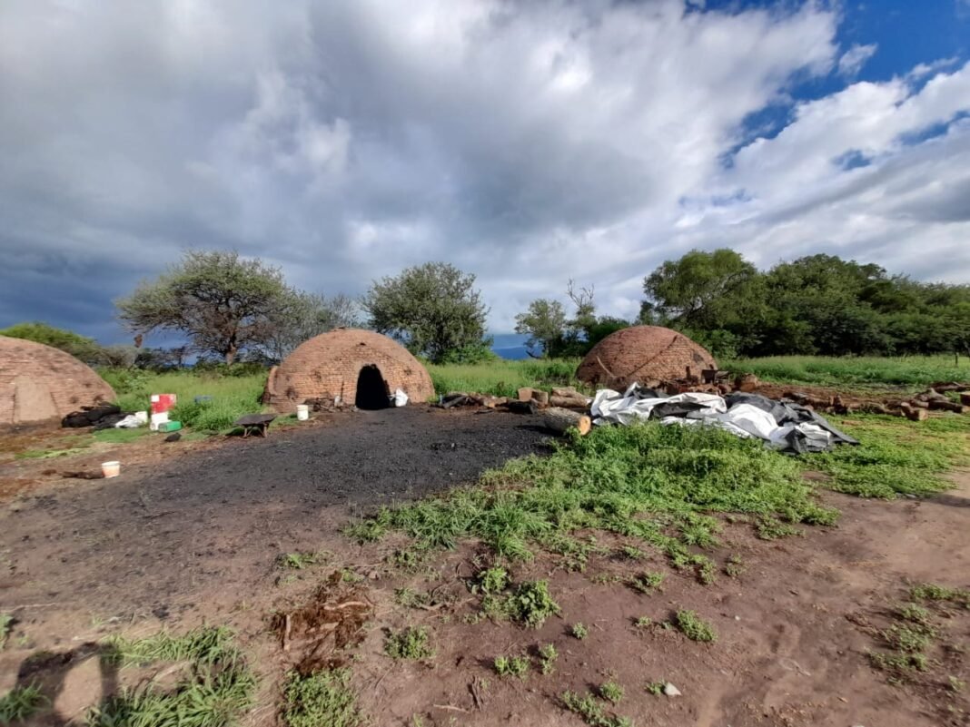 Desarticulan comercio clandestino de carbón que vulneraba el medio ambiente