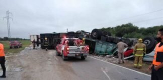 Otro vuelco fatal en la ruta N° 157: chofer de camión murió en el acto