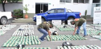Seis detenidos por tráfico ilegal de hojas de coca