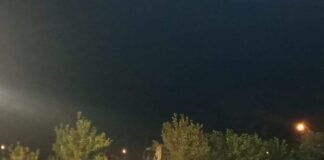 Una multitud acompañó otra edición del festival del pequeño productor en la localidad de Capayán
