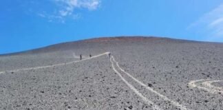 Imputaron a turistas y serán multados con cifras millonarias