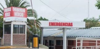 Un jinete fue hospitalizado tras ser colisionado por una camioneta
