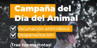 Campaña de vacunación antirrábica y desparasitación para perros y gatos