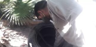 Dengue: control focal en distintos barrios de Capital