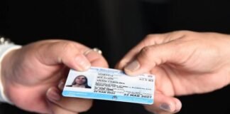 Licencias de Conducir