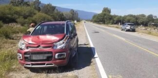 Nuevo accidente vial por presencia de animales sueltos