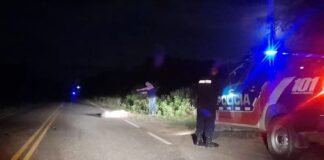 Dos accidentes con animales sueltos