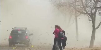 ¿Como estará el clima para este fin de semana?