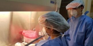 Coronavirus en Argentina: se registraron 51.778 contagios, un 19% más que la semana pasada