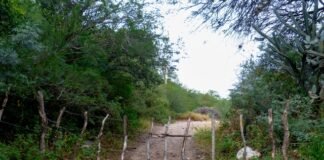 El Camino Real en la jurisdicción de Huillapima, esta abandonado y cerrado