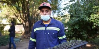 El Municipio avanza en un plan de forestación sustentable