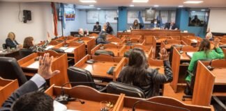 El Senado prorrogó la Emergencia Sanitaria y la Emergencia por incendios