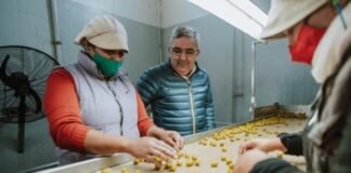 Empresa catamarqueña con exportación de aceitunas a Australia