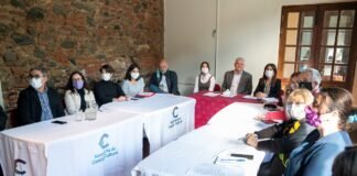 Por teleconferencia, dialogaron el diputado nacional Pablo Carro y gestores culturales de Catamarca