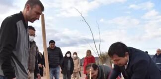 Plan de Reforestación Urbana en Tinogasta: Se plantaran más de 3.500 especies nativas Sebastian Noblega