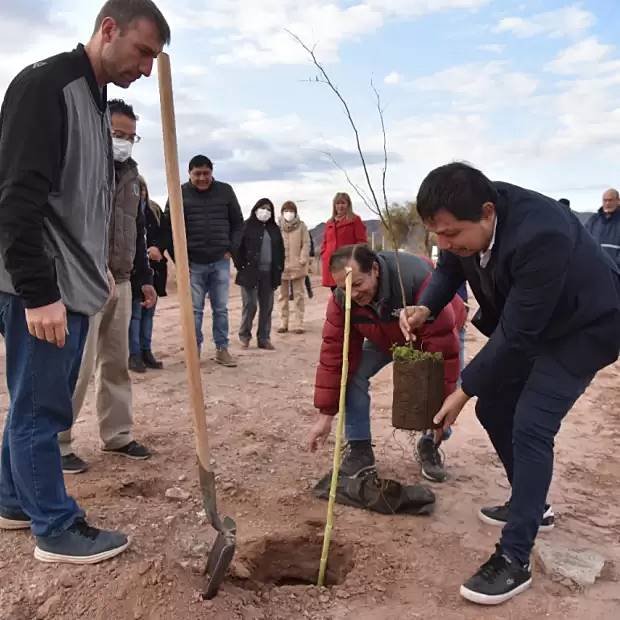 Sebastian Noblega Sebastian Noblega