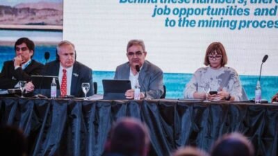 Seminario de litio, Raul Jalil, Fernanda Avila