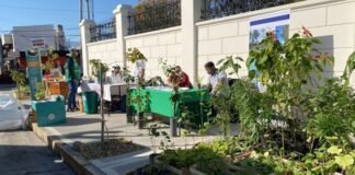 A muy buen ritmo se lleva adelante el plan de Forestación 2030