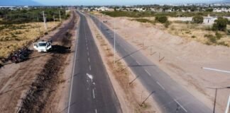 A muy buen ritmo se lleva adelante Plan Forestal 2030