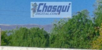 Defensores quiere volver a la cima