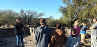 Domingo a pleno turismo en la ciudad