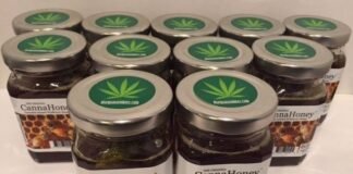 Hay dos proyectos en Catamarca para producción de cannabis medicinal